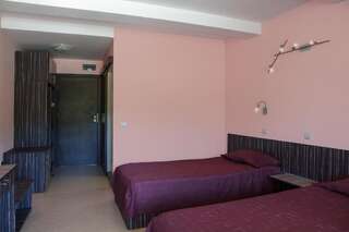 Отель Family Hotel Kipra Kipra Двухместный номер с 1 кроватью или 2 отдельными кроватями и террасой-26